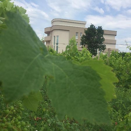 Villa Flowers Medjugorje Exterior photo